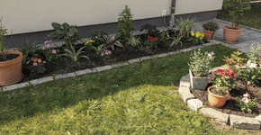 Quanto custa montar um jardim simples em casa e por que o valor varia mais do que parece
