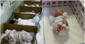 Por que na Finlândia os bebês dormem em caixas de papelão?