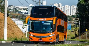 Foto: (Divulgação)