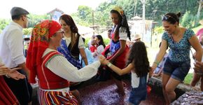 Foto: (Divulgação)