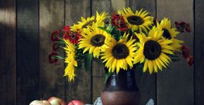 5 simpatias para atrair sorte e amor em junho