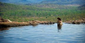 Conheça 14 piscinas naturais pelo mundo