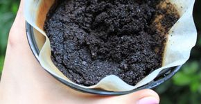 5 jeitos de reaproveitar a borra de café em casa