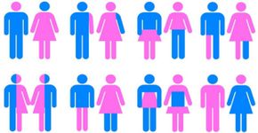 Nova York passa a reconhecer 31 gêneros diferentes