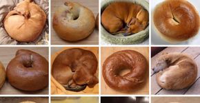 Cachorrinhos ou comida? Imagens que vão confundir sua cabeça