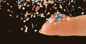 Foto: (Grafissimo/istock)