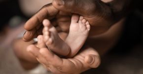 Foto: (iStock/Wirestock)