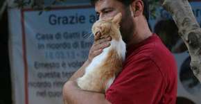 Homem decide não fugir de guerra na Síria para cuidar de gatos