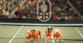 “Cãodulas” participam do Rio Open 2025 para promover a adoção responsável