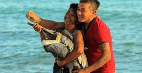 Casal maltrata pelicano para tirar selfie em praia mexicana