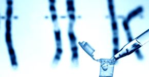Veduca e UnB lançam curso online de Biotecnologia