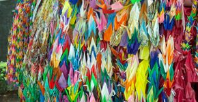 Origami é inspiração para pesquisa científica