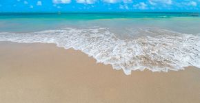 Foto: (Istock/vbacarin)