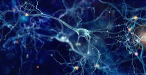 Foto: (whitehoune/istock)