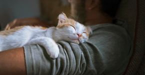 Foto: (taniche/istock)