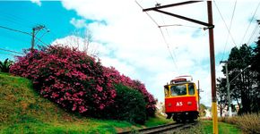 Foto: (Divulgação)