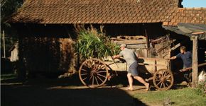 Documentário “Walachai” retrata comunidades alemãs no sul do Brasil
