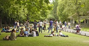 Foto: (SoopySue/iStock)