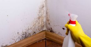 Truques caseiros para remover mofo e umidade das paredes