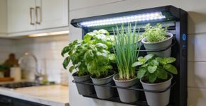 Quanto custa montar uma horta inteligente na cozinha para ter temperos frescos sempre à mão?