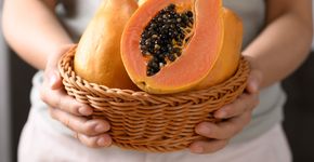 Foto: (iStock/ Nungning20)