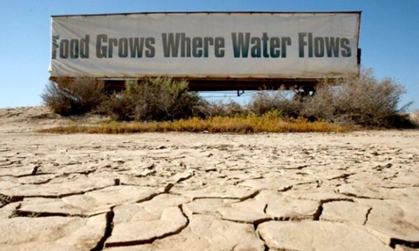 A California é responsável por quase 100% das cenouras, abacates, morangos e uvas consumidos nos EUA. Mas por quanto tempo?