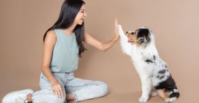 8 dicas práticas para estimular a inteligência do seu cachorro