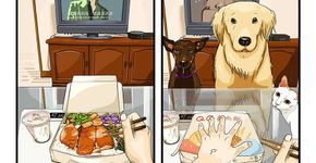 9 imagens mostram a vida antes e depois de ter um pet