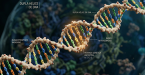 Carregamos DNA Neandertal… exceto onde mais importa