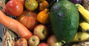 Foto: (Reprodução/Fruta Imperfeita)