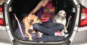 Foto: (Andrea Miramontes/ Guia de Viagem Pet Friendly)