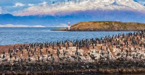 Foto: (istock/saiko3p)