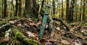 Homem procurava objetos com detector de metais em uma floresta na Polônia quando encontrou uma espada de 2.700 anos em pé no solo e decidiu não retirá-la