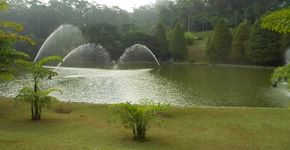 Sesc anuncia entrada gratuita para as unidades Itaquera e Interlagos