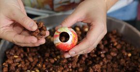 Lindo e prático: amendoim doce em ovinhos para a Páscoa