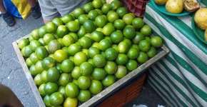 Comprar no mercadinho do seu bairro pode ser a melhor opção