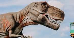 Foto: (Divulgação/T-Rex Park)
