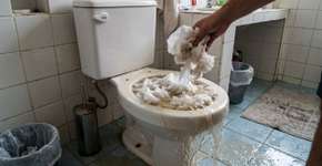 Levei muito tempo para entender por que o papel higiênico não deve ser jogado no vaso sanitário