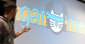 Rolou até gato mia: Maratona de criação de jogos reúne 6 estados