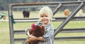 Encontro Vegano reúne artesanato, oficinas e muito mais