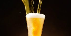 Heineken e Grupo Petrópolis têm vagas abertas em diversos estados