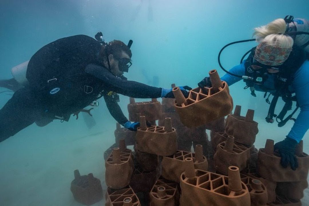 Iniciativa do Anantara Dhigu Maldives Resort instalou estruturas de argila impressas em 3D no fundo do mar