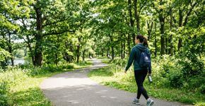 Especialistas sempre dizem: “Caminhar 1 hora por dia, 7 dias por semana, em ritmo tranquilo, queima 75.000 calorias por ano.”