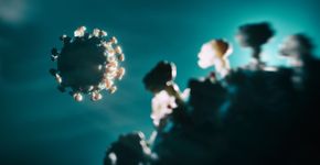 Foto: (koto_feja/istock)