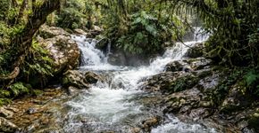 Florestas densas, formações rochosas e campos de altitude em 28 mil hectares: o parque entre Rio de Janeiro e Minas Gerais que foi o primeiro nacional do Brasil e tem no Pico das Agulhas Negras seu ponto culminante