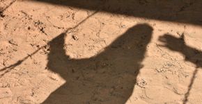 Foto: (Istock-tzahiV)