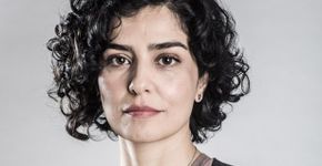 Letícia Sabatella esclarece polêmica após internação no RJ