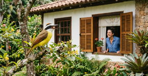 O que significa escutar Bem-te-vis na sua casa ou jardim e por que isso é um bom sinal?