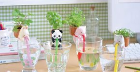 Japoneses criam vaso de planta que se rega sozinho