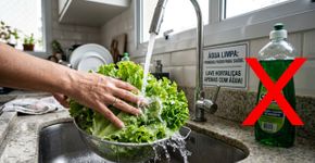 Lavar frutas e verduras com detergente pode parecer uma limpeza mais completa, mas nos Estados Unidos a recomendação é usar apenas água corrente: sabão e produtos de limpeza podem deixar resíduos nos alimentos